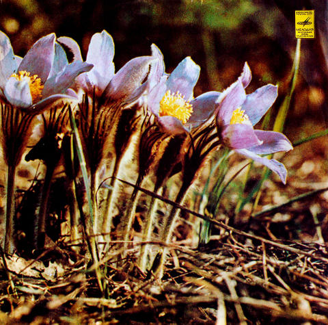 CCCP-Melodia6_A.jpg