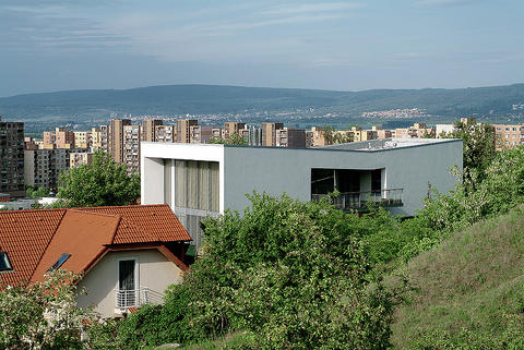 7944.jpg