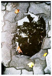 2007-10-12_20.jpg