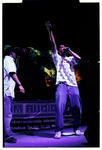 dlsl2k7_013.jpg