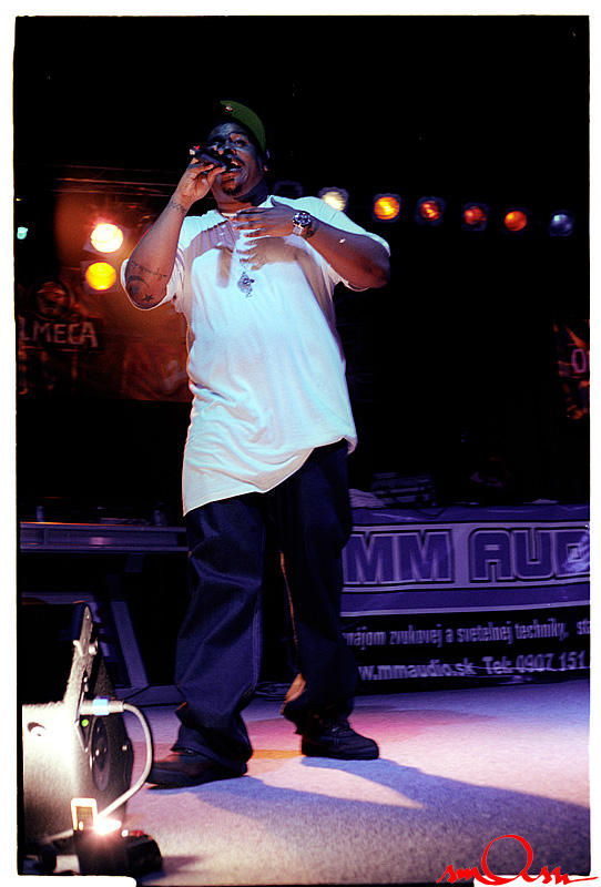 dlsl2k7_030.jpg