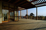 d0968.jpg