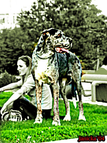 02_mmm04_024.jpg