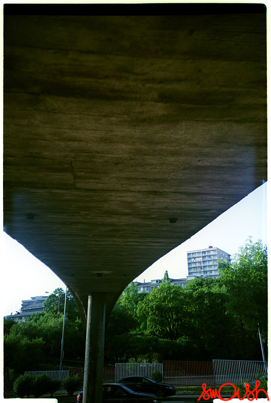 2007-06-16_02.jpg