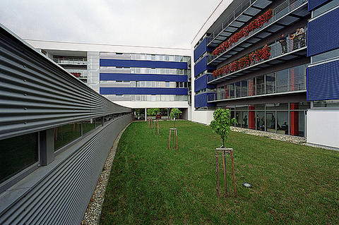 n003.jpg