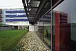 n010.jpg