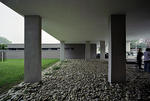 n011.jpg