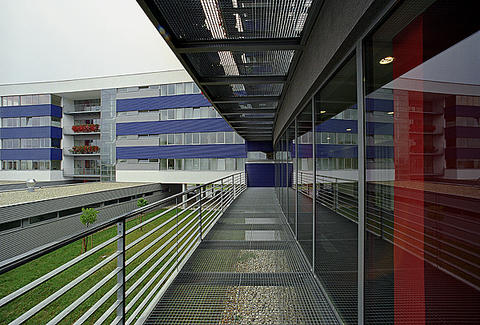 n014.jpg