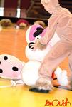 hntc2k6_3257.jpg
