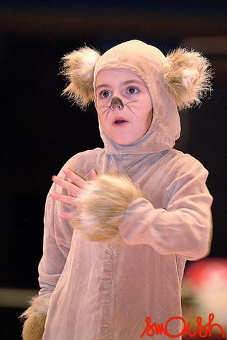 hntc2k6_3264.jpg