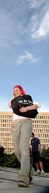 dpdl.jpg