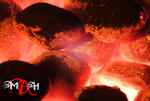 nhr2k5_387.jpg