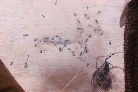 nhr2k5_445.jpg