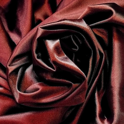 2008-02-20_rose.jpg