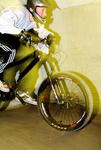 itc2k8b_297.jpg