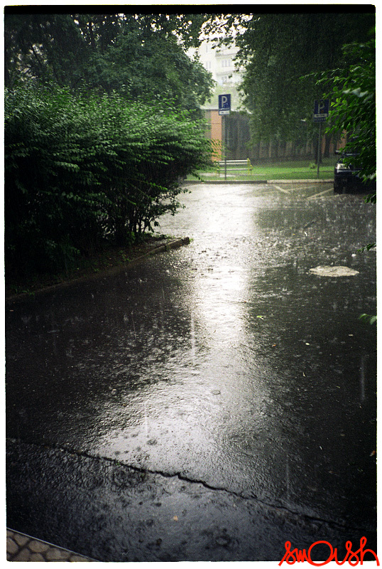 2007-06-10_08.jpg