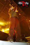 sb2k5_184.jpg