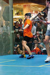 mssq2k8_333.jpg