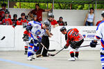 msh2k8_374.jpg