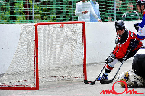 msh2k8_384.jpg