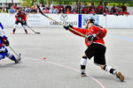 msh2k8_390.jpg