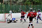 msh2k8_417.jpg