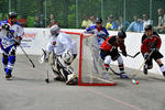 msh2k8_445.jpg