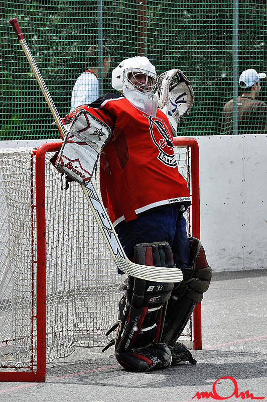 msh2k8_351.jpg