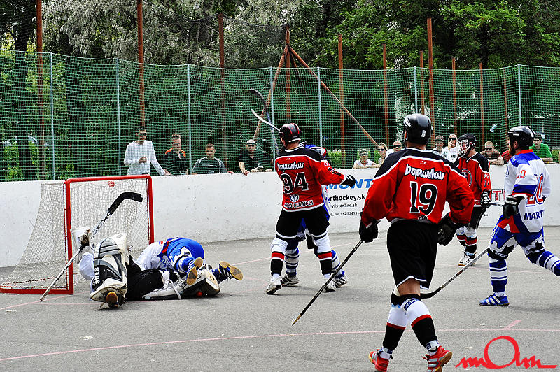 msh2k8_417.jpg