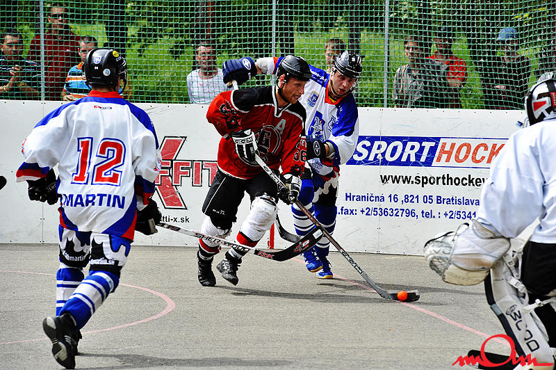 msh2k8_452.jpg
