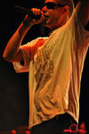tjhh2k8_4009.jpg