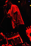 tjhh2k8_4014.jpg