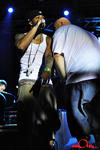 tjhh2k8_4116.jpg