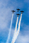 ar2k8_6831.jpg