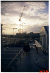 maw2007a_003.jpg