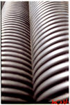 cmena8_2007-05-16