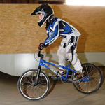 itc2k9a_2937.jpg