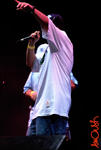 hq2k6_2228.jpg