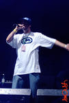hq2k6_2232.jpg