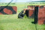 pb1-2k9_072.jpg