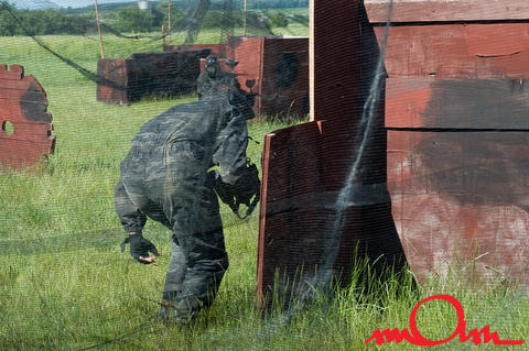 pb1-2k9_115.jpg