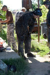 pb1-2k9_119.jpg