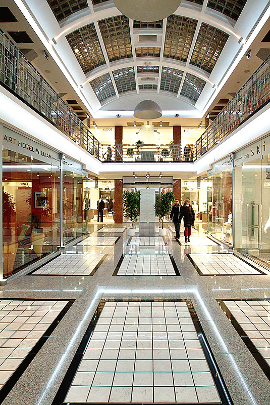 d3637.jpg