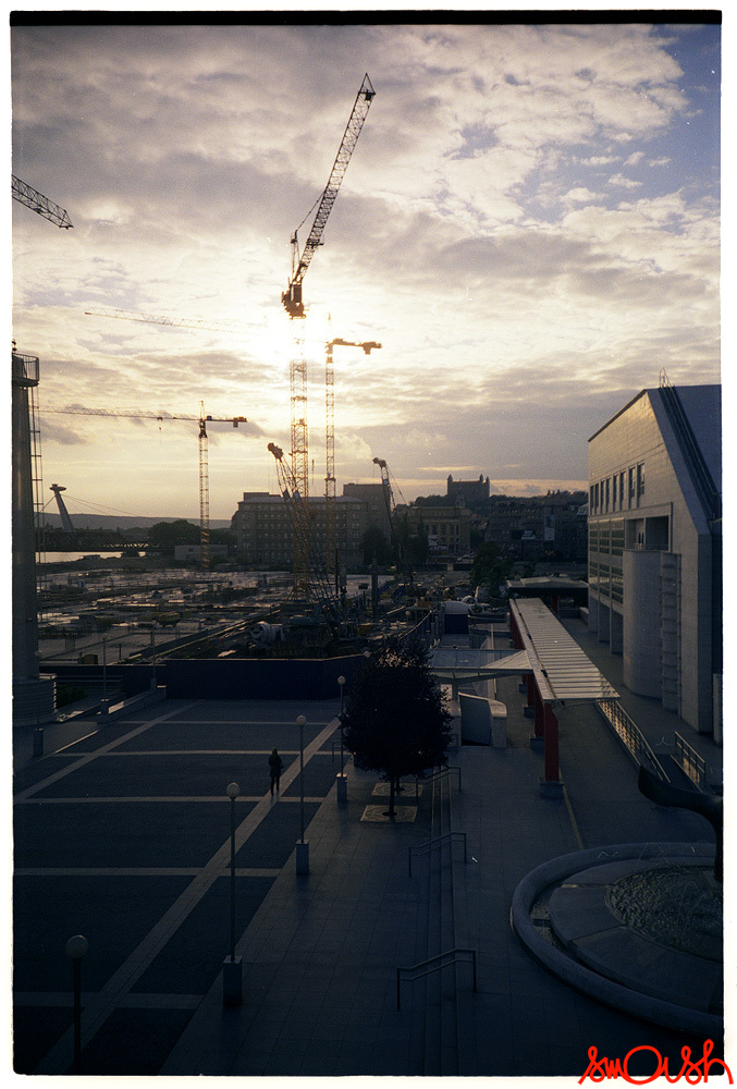 maw2007a_003.jpg