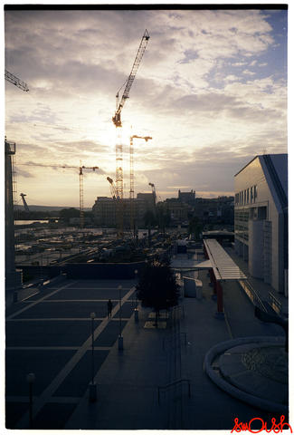 maw2007a_003.jpg
