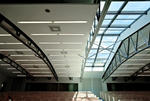a_d0537.jpg