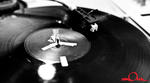 bzpz_FM-25.jpg