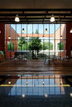 foie_d0727.jpg