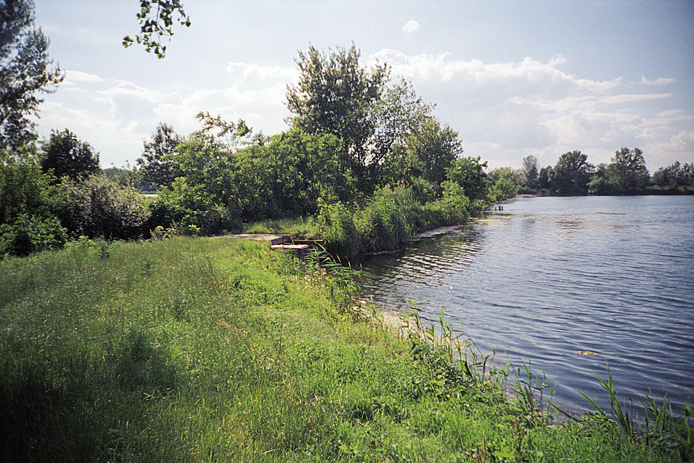 05.jpg
