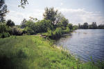 05.jpg